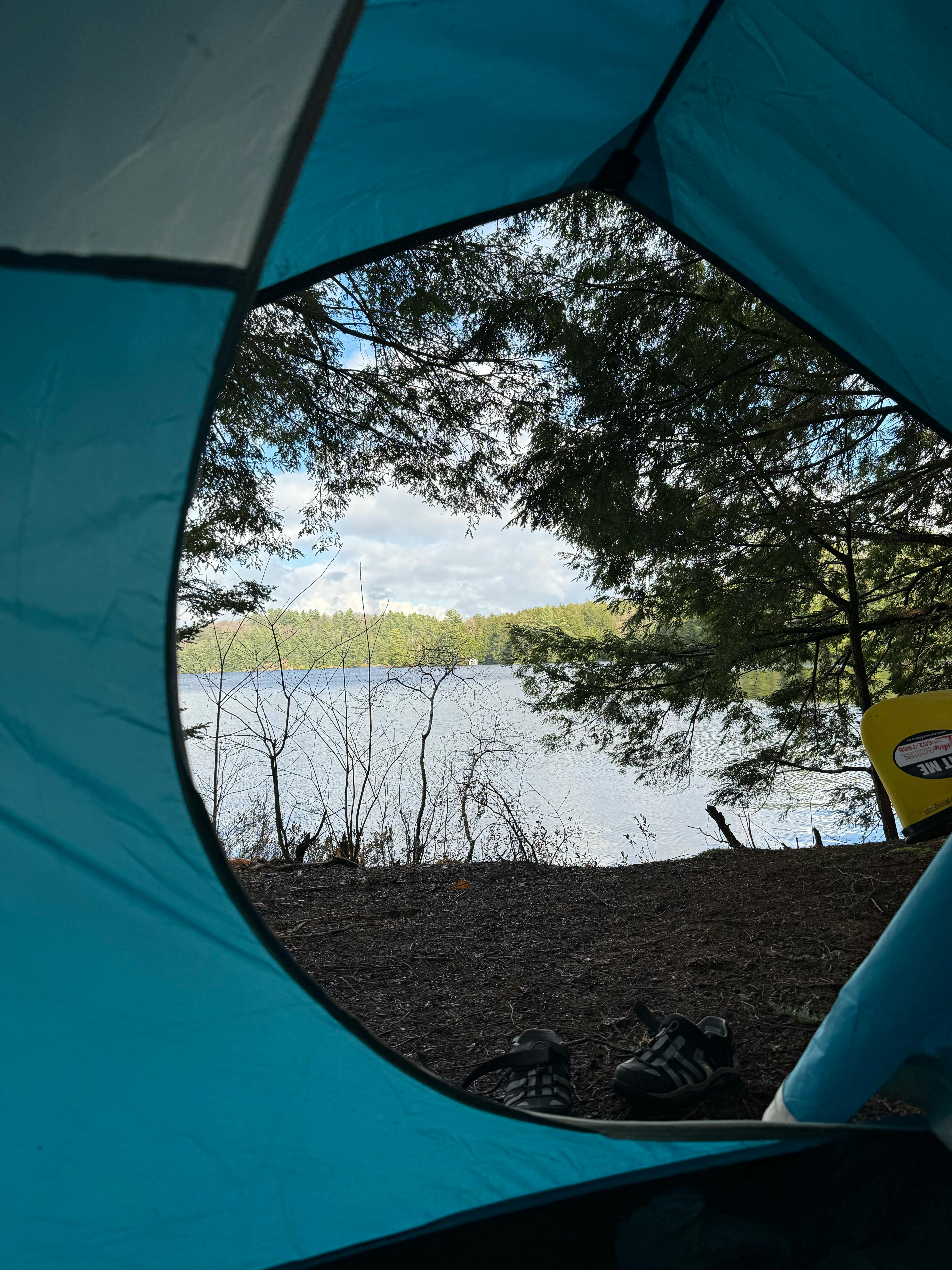 Parcela entre árboles con vistas al lago