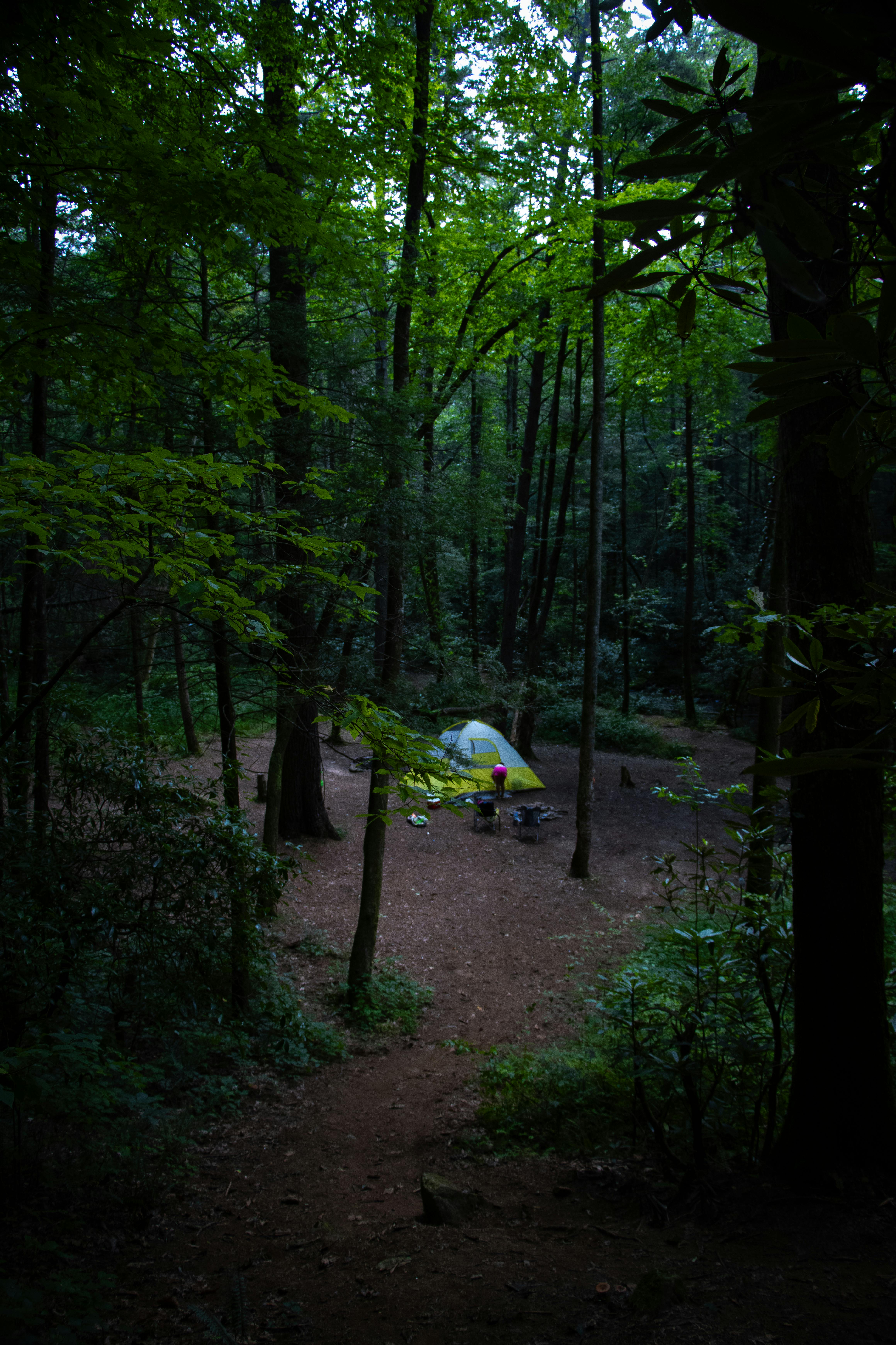 Bosque y zona de acampada en un paisaje verde