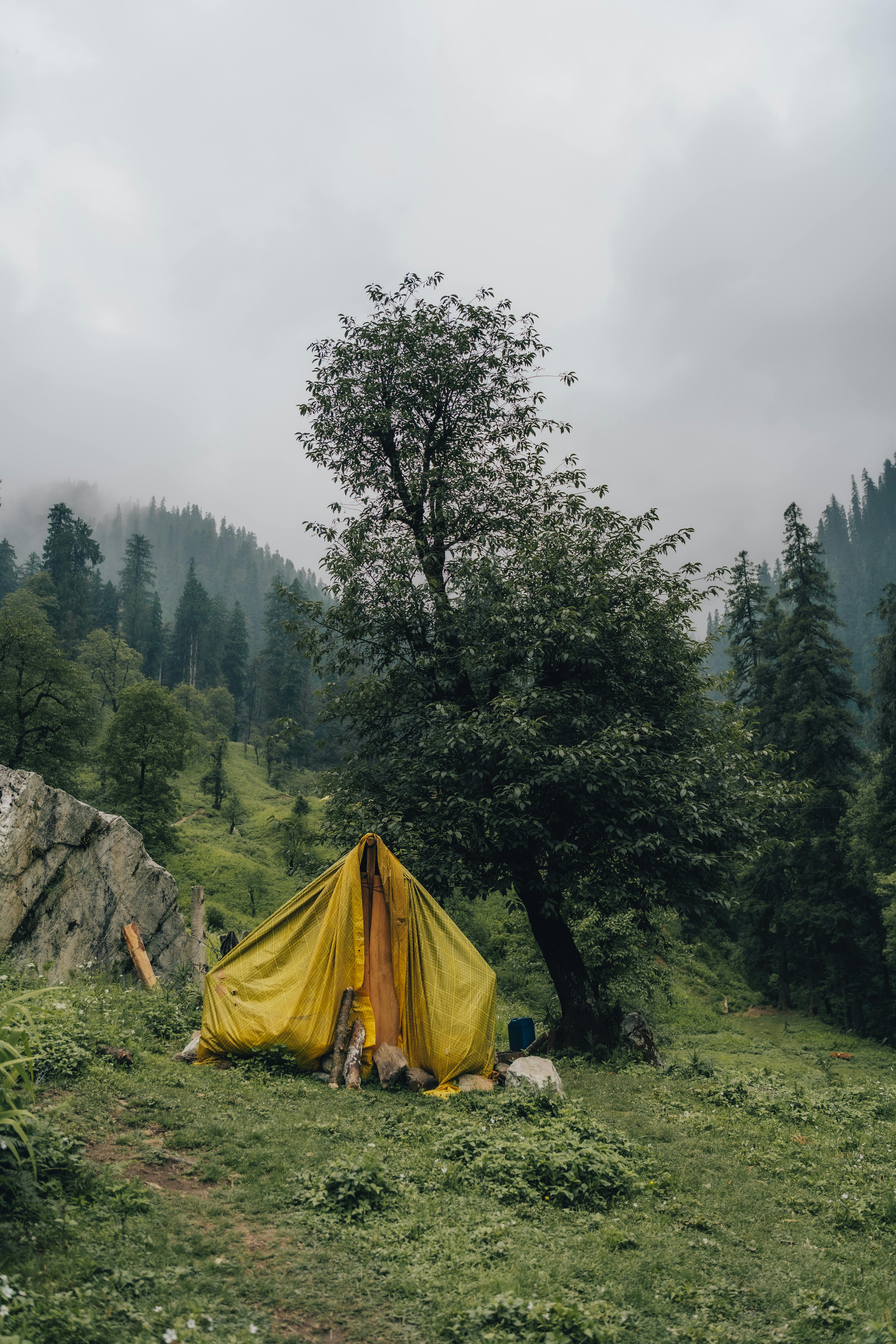Escena de acampada con paisaje de lago y bosque